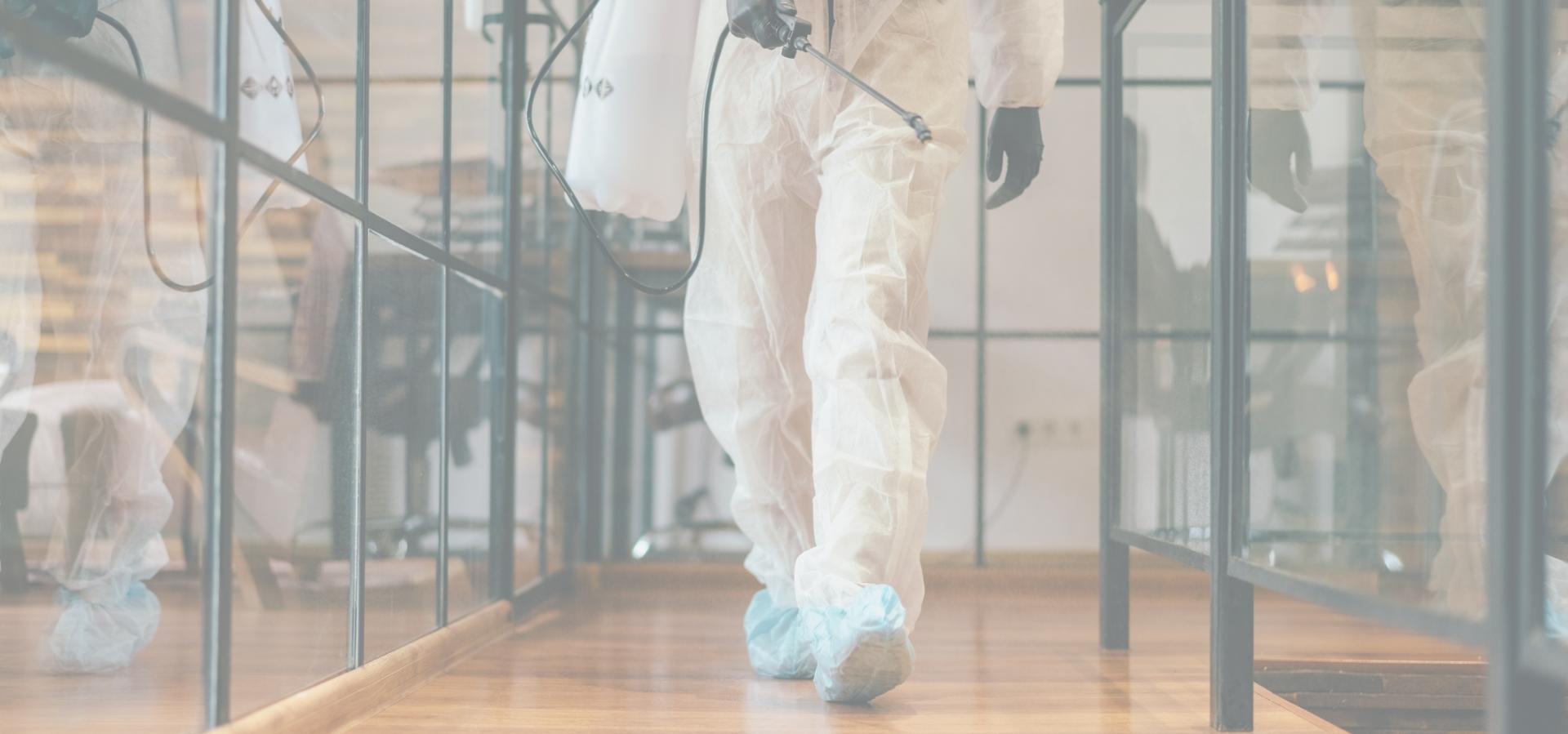 Deratyzacja - Slide 1